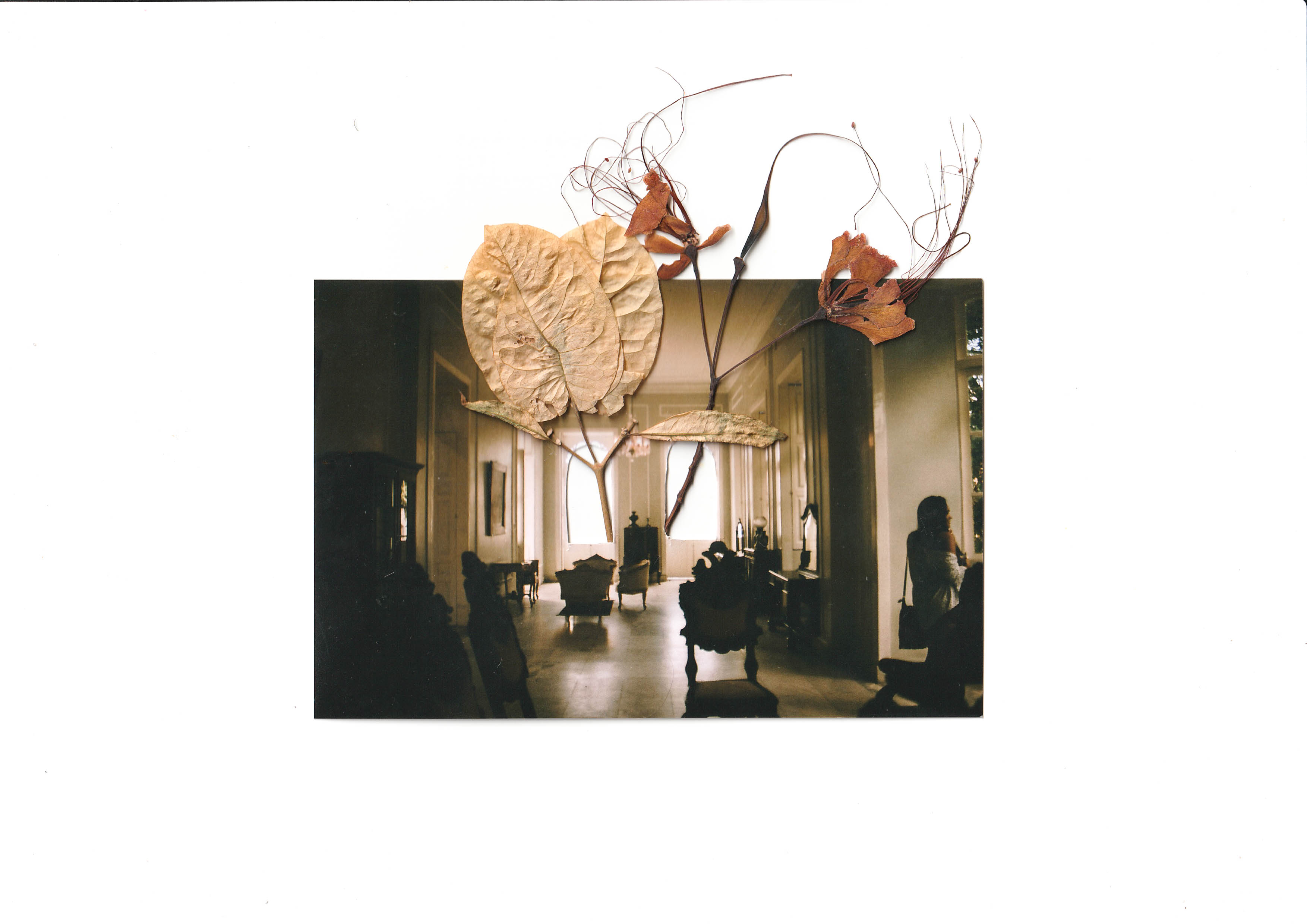 Fotografia. Imagem central mostra sala de um palacete com móveis antigos; bordas da imagem têm colagem de flores secas.