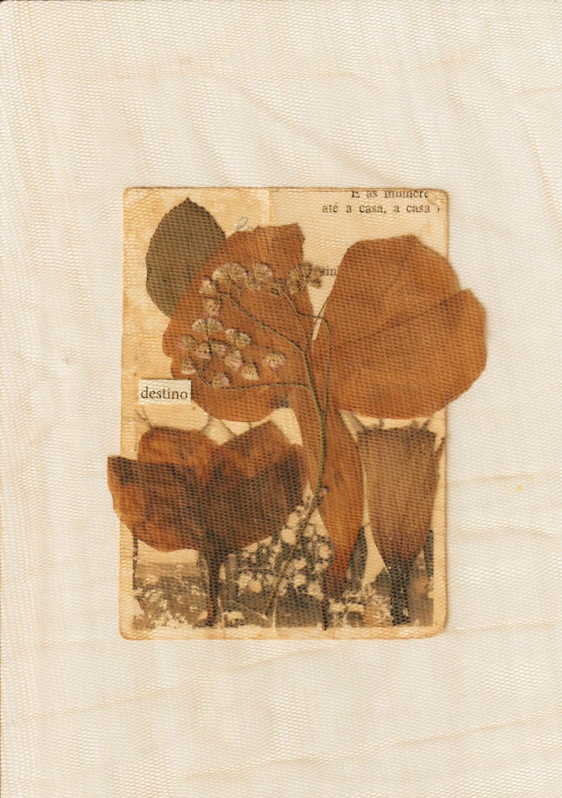 Fotografia. Flores secas prensadas sobre tecido bege. Um recorte de livro com a palavra 'destino' está destacada do lado superior esquerdo.