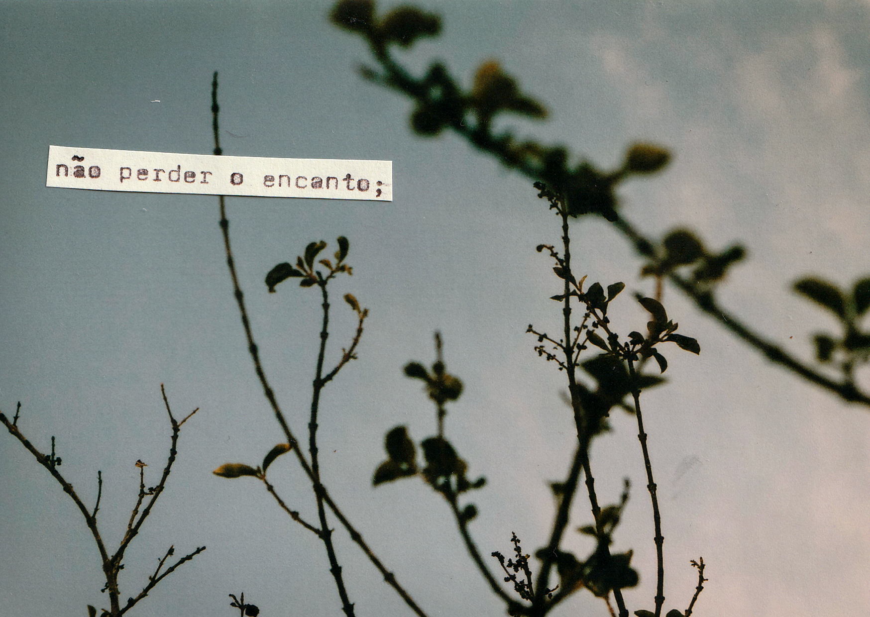 Colagem com retratos e papéis antigos