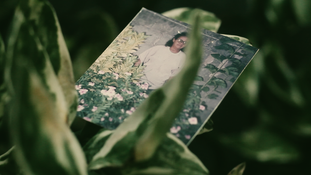 Descrição da sexta imagem...