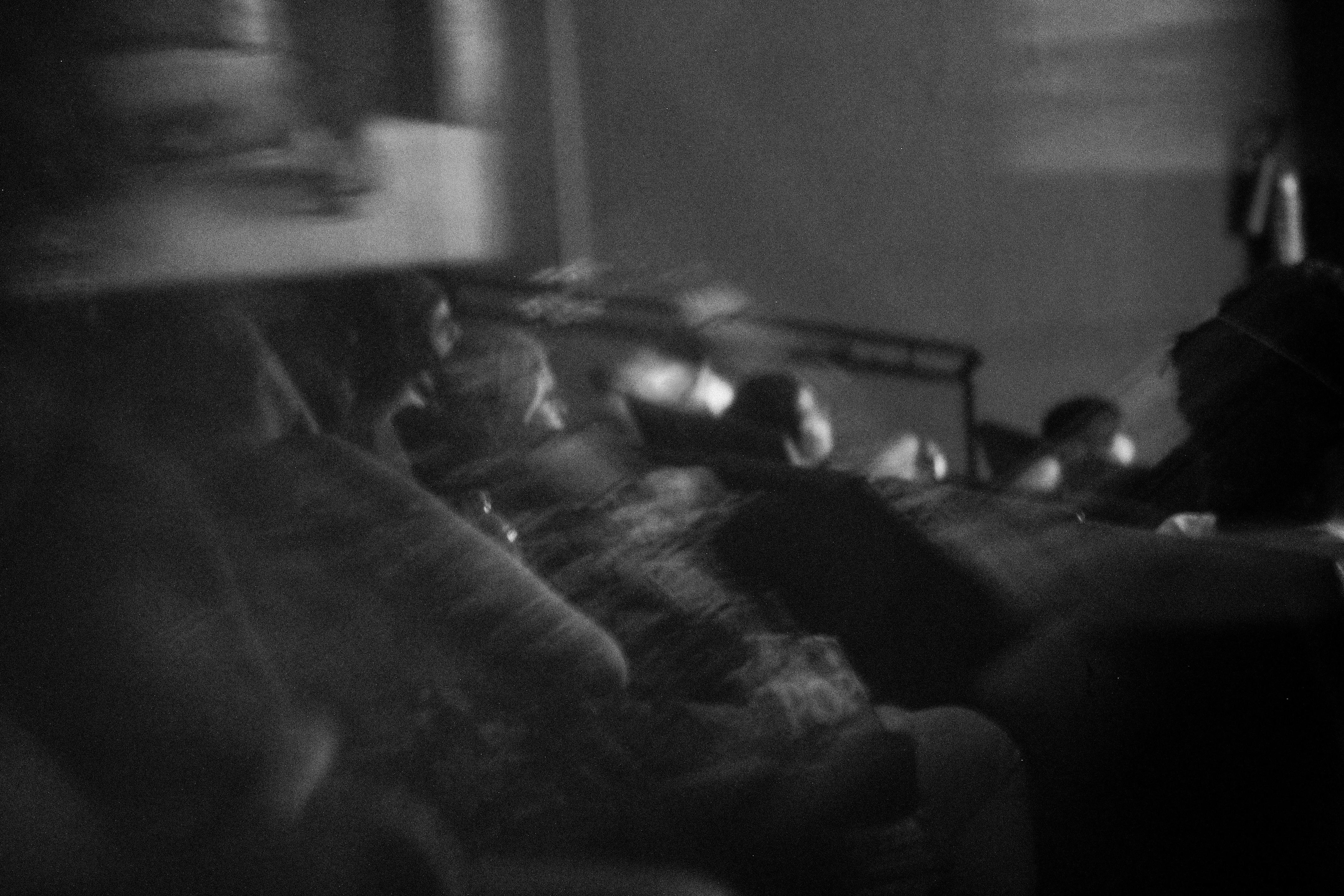 Descrição da sexta imagem...